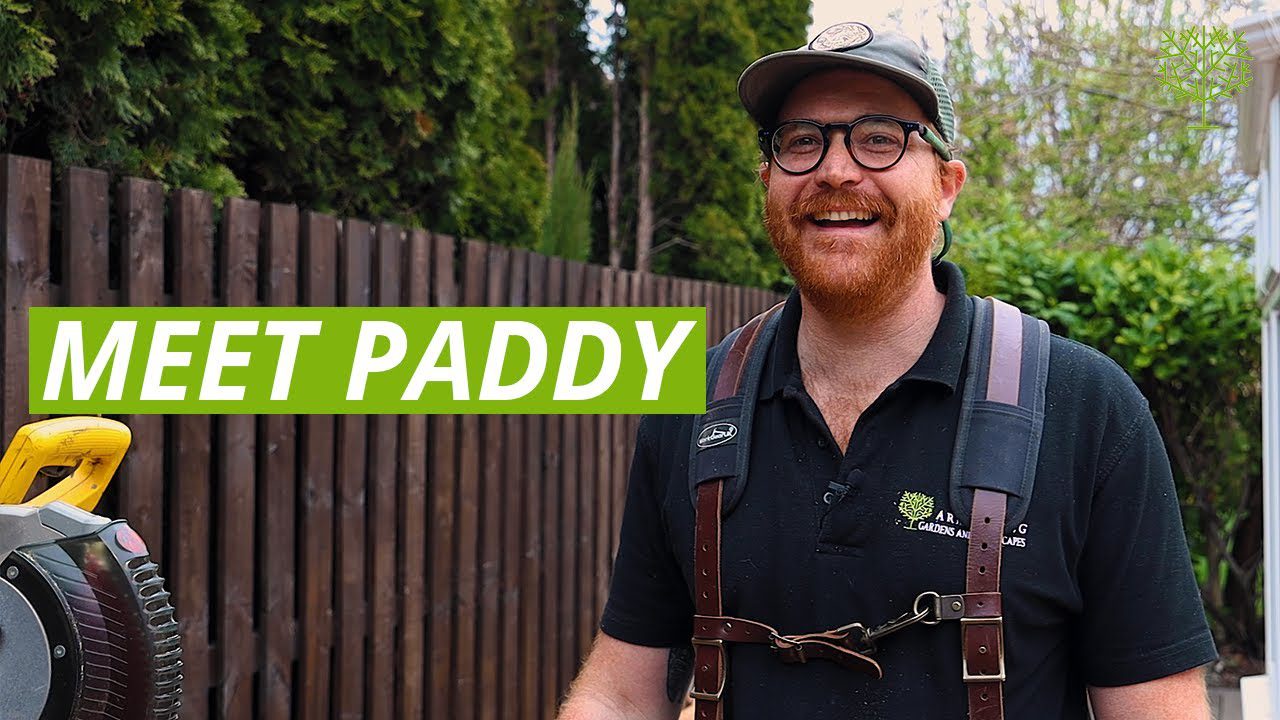 Meet Paddy - behind the business